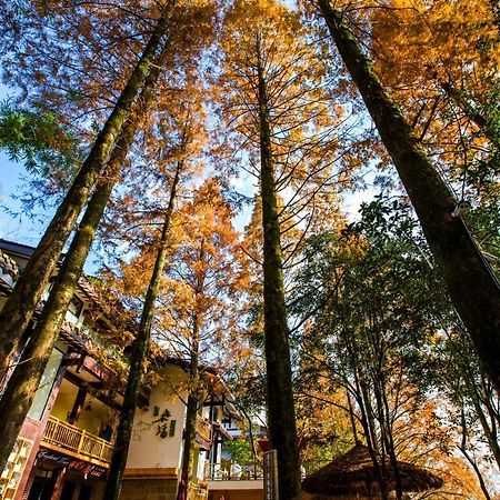 Wuyi Mountain Ancient Street Forest Living England Time Inn Vũ Di Sơn Ngoại thất bức ảnh