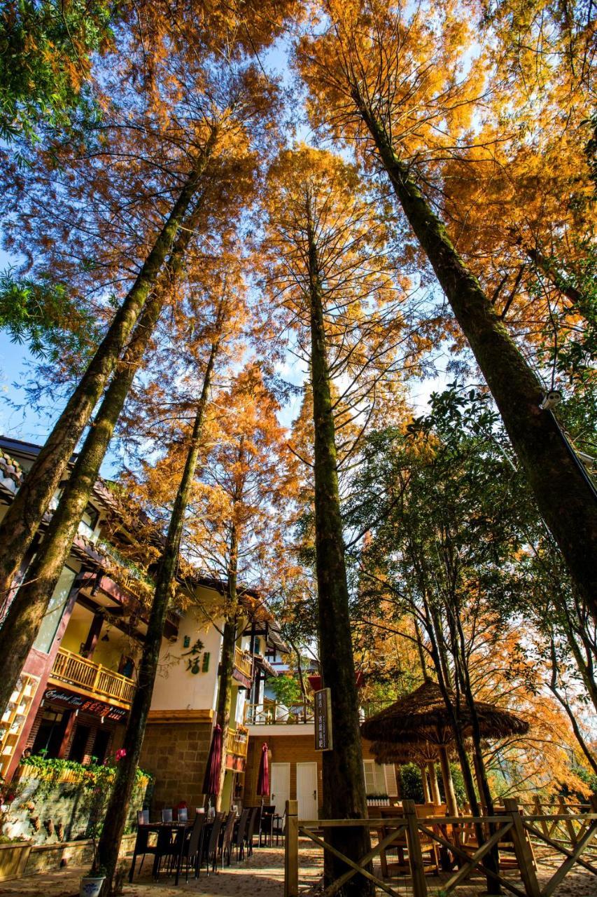 Wuyi Mountain Ancient Street Forest Living England Time Inn Vũ Di Sơn Ngoại thất bức ảnh